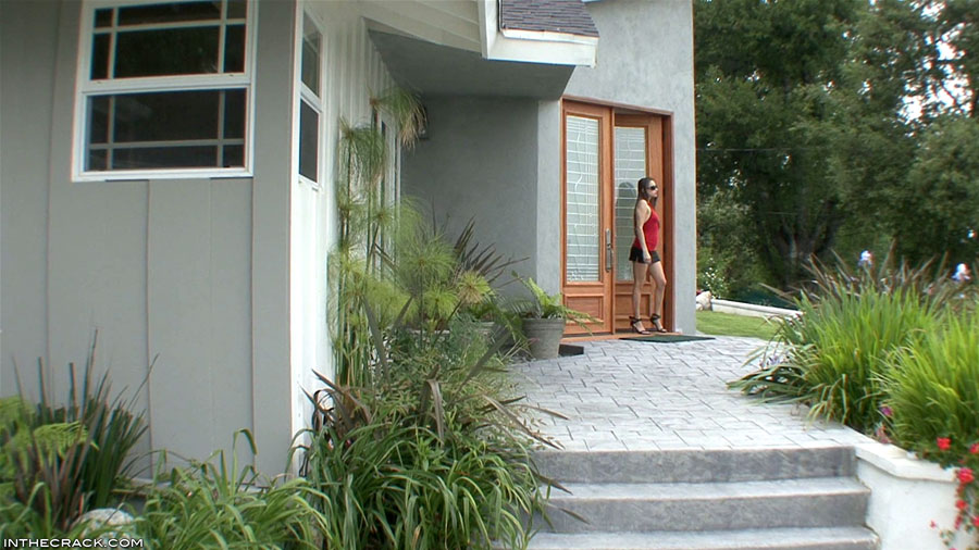 135 Celeste Star: Front Yard Views