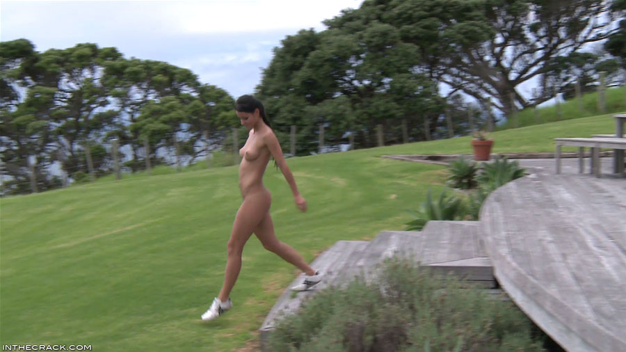 522 Lexa: Meadow Lark